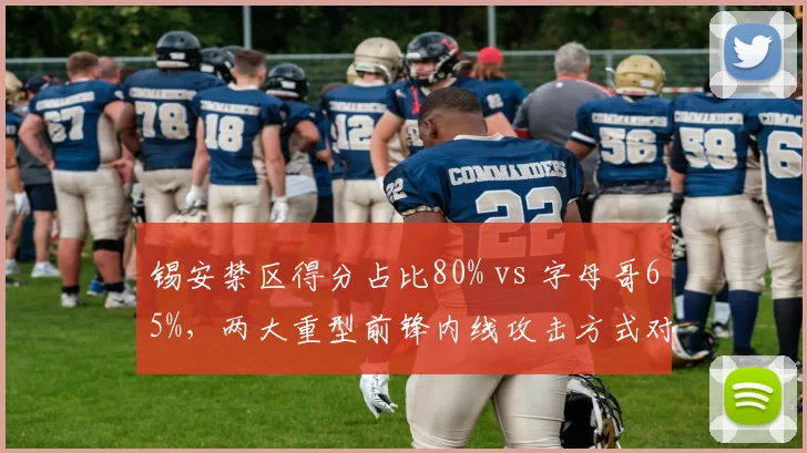 锡安禁区得分占比80% vs 字母哥65%,两大重型前锋内线攻击方式对比