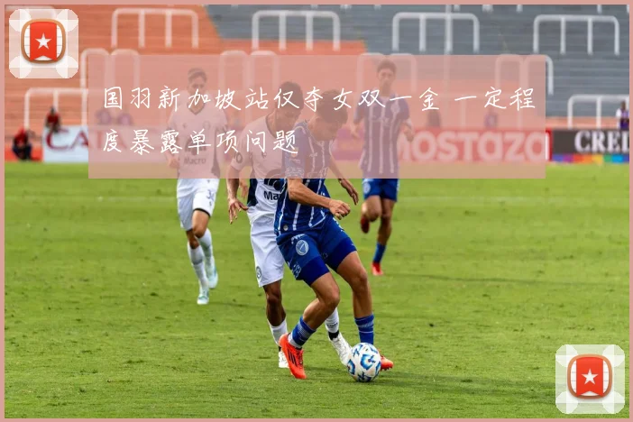 国羽新加坡站仅夺女双一金 一定程度暴露单项问题