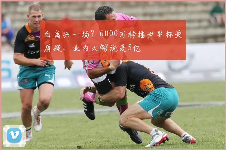 白高兴一场？6000万转播世界杯受质疑，业内大鳄说是5亿
